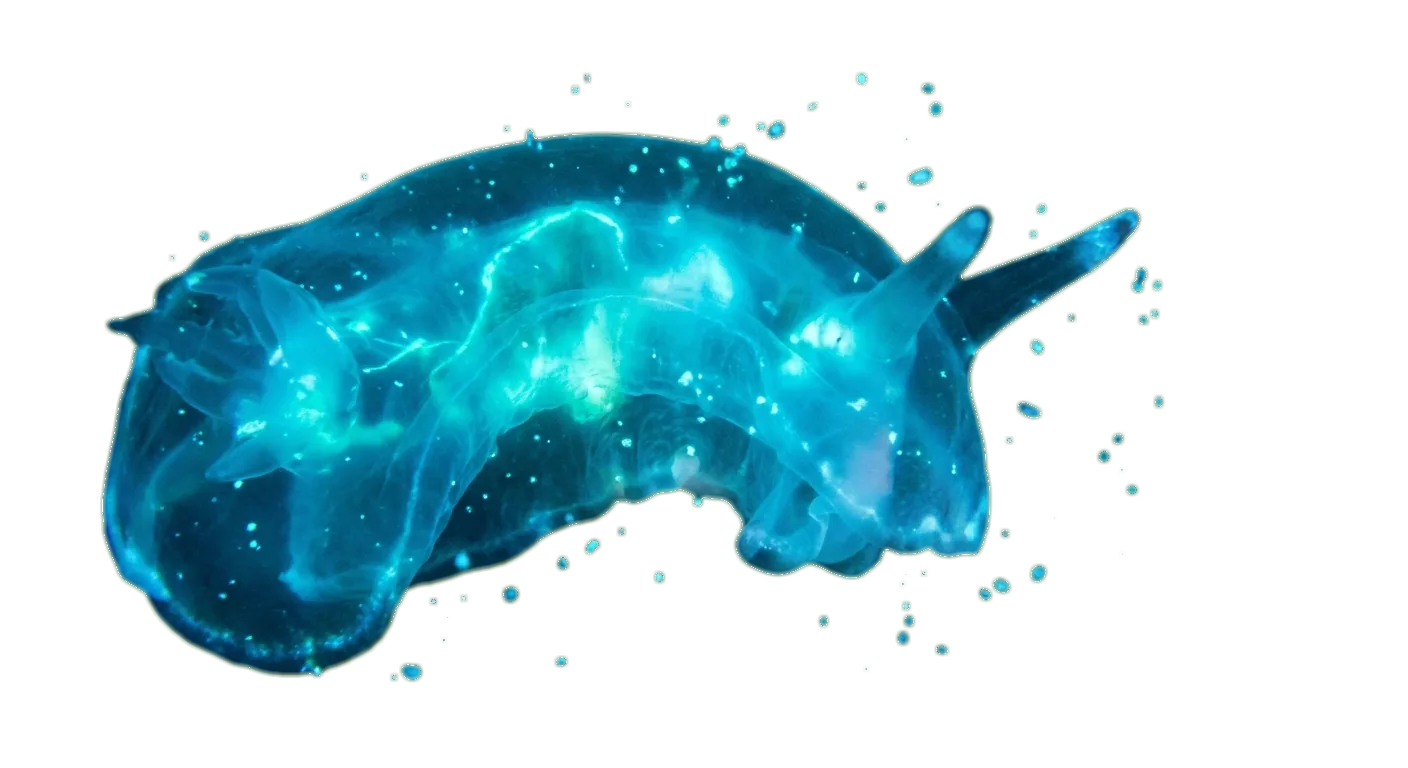 Criatura bioluminiscente en zona crepuscular